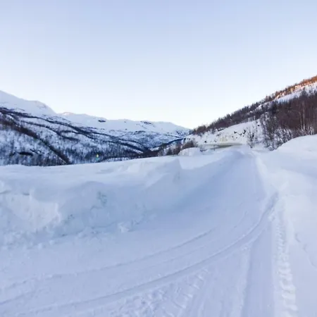 Maristova 110 * Filefjell