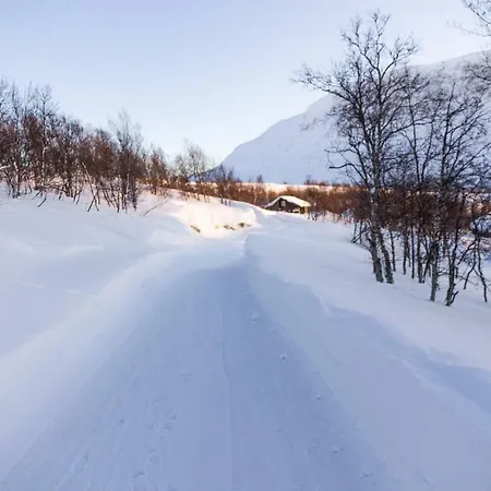 Maristova 110 Filefjell